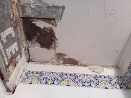 infiltration d_eau plafond salle d_eau  2